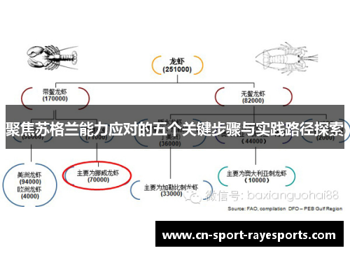 聚焦苏格兰能力应对的五个关键步骤与实践路径探索 聚焦苏格兰能力应对的五个关键步骤与实践路径探索