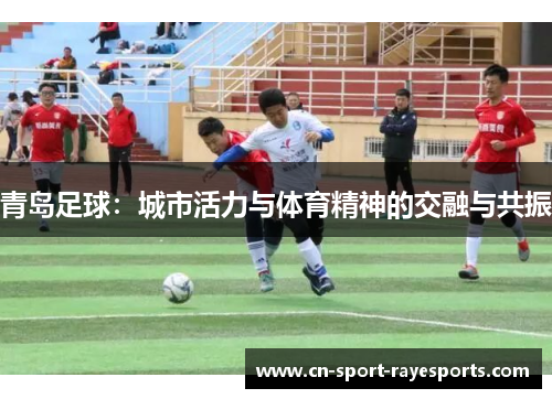青岛足球:城市活力与体育精神的交融与共振 青岛足球:城市活力与体育精神的交融与共振